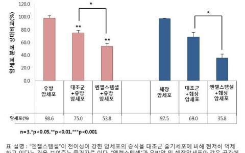 바이오스타 줄기세포기술연구원, 항암능력을 가지는 성체줄기세포 배양기술개발 성공